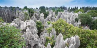 stone forest china