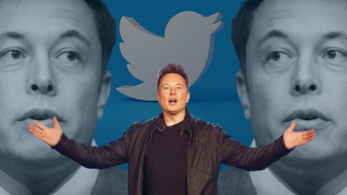 Musk says granting amnesty to suspended Twitter accounts